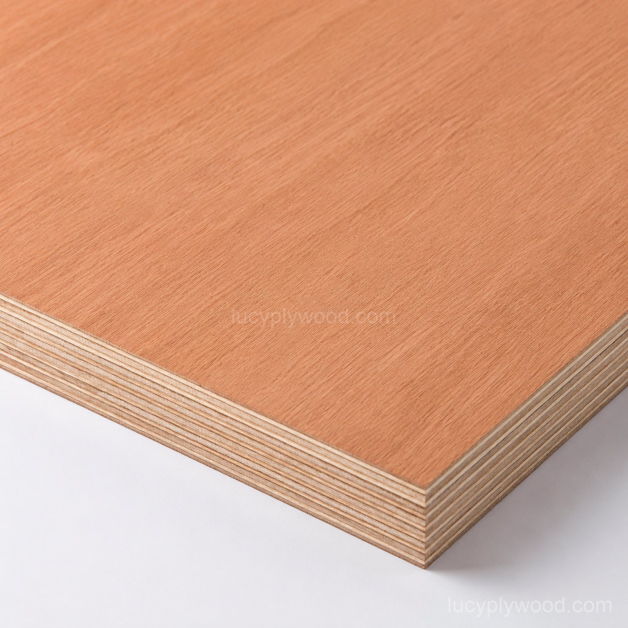 Bintangor Plywood