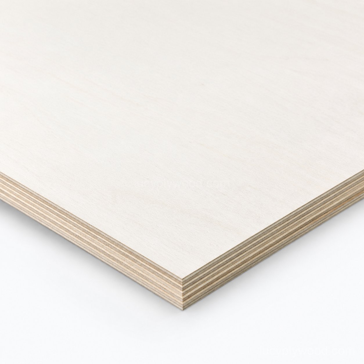 Poplar Plywood