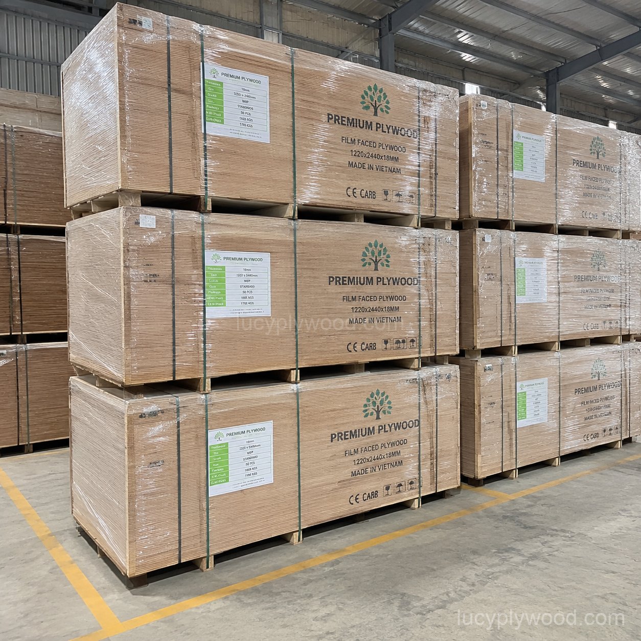 Plywood pallets strapped and ready for container loading